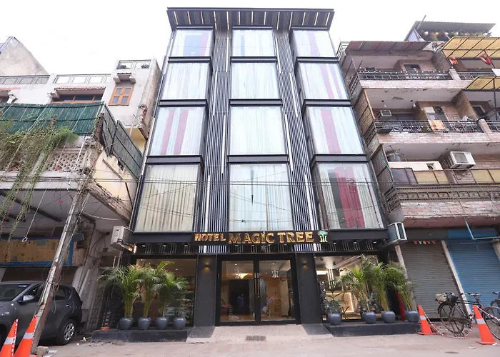 Hotel The Magic Tree - Paharganj New Delhi