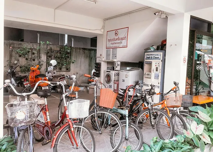 Dphouse Center Of Old Chiang Mai