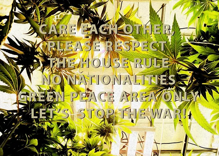 4 star hotel: Rent V38 #420 Friendly Thailand