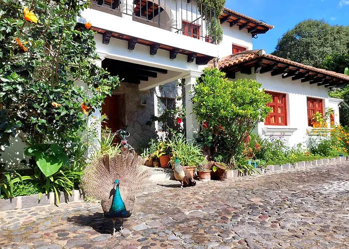 Hotel y Jardines Casa Búho