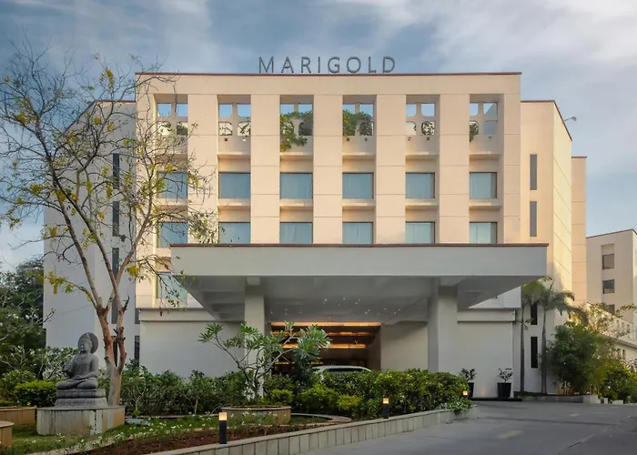 Luxury hotel only: Marigold Hotel