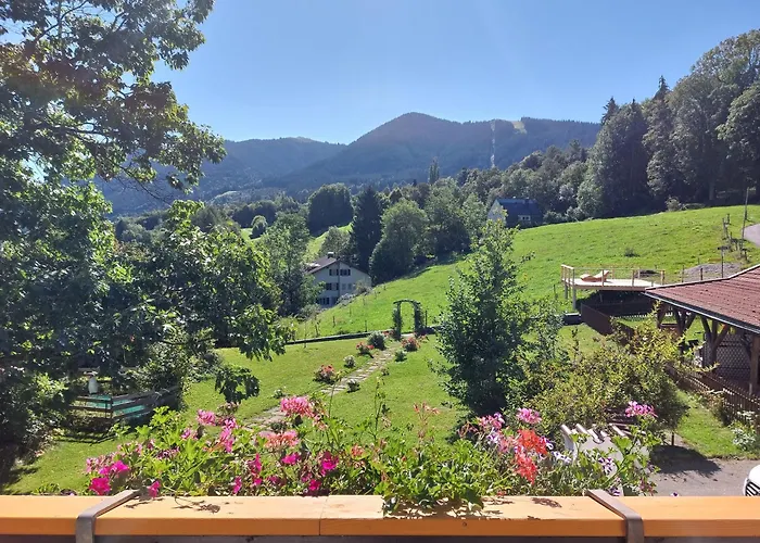Hotel mit Hund Schönblick
