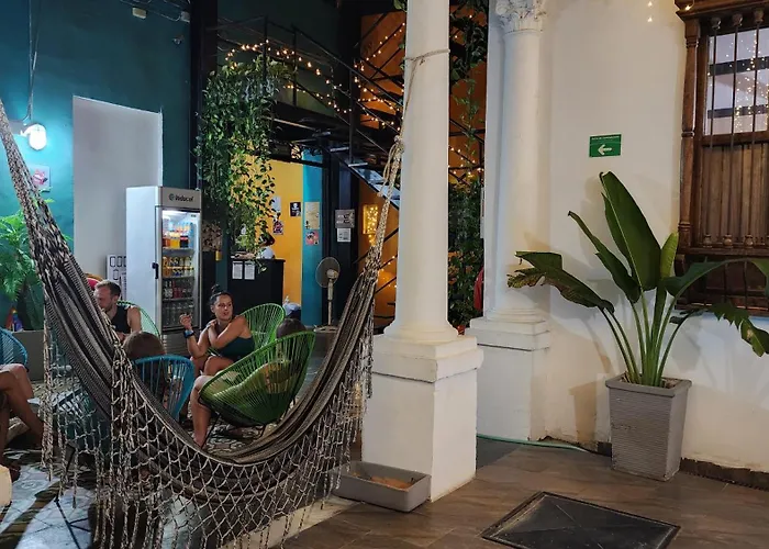 Baboon Hostel