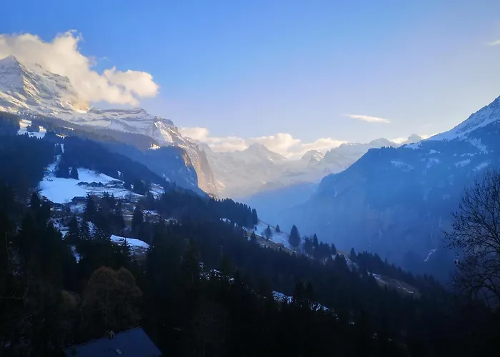 5 sterren hotel: Swiss Lodge Hotel Bernerhof
