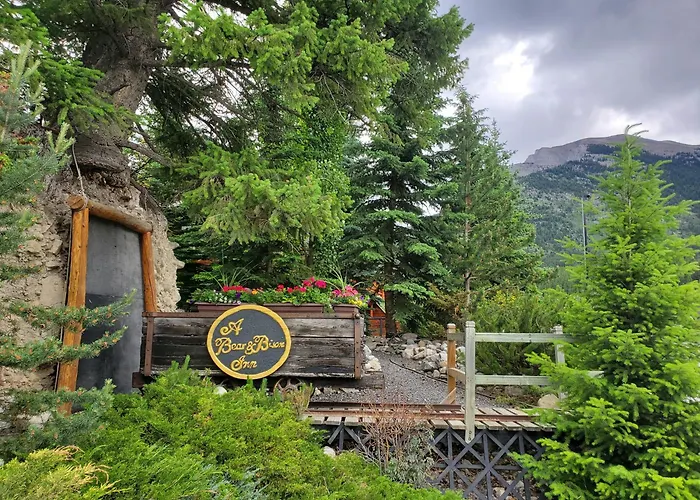 Bear And Bison Country