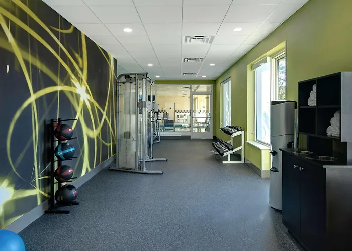 Hilton Garden Inn Detroit Metro Airport