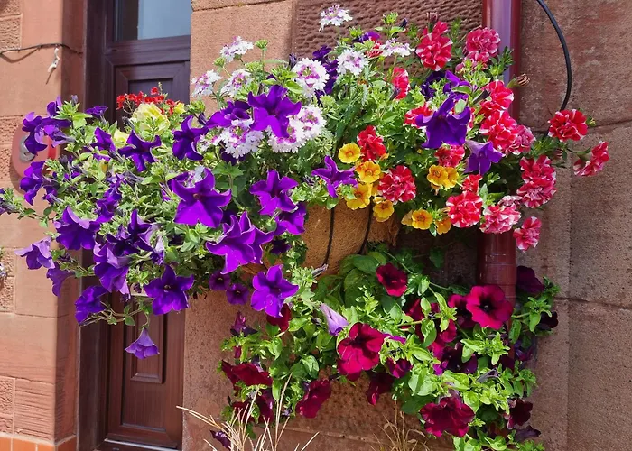 St Leonards Guest House