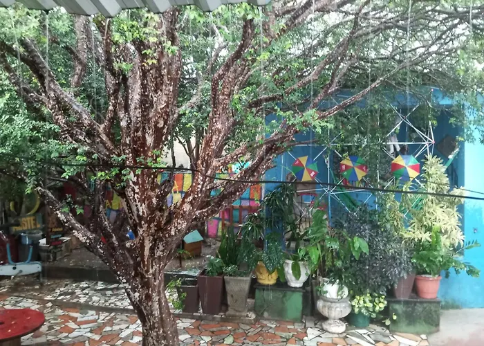  Hostel Jabuticaba Bh