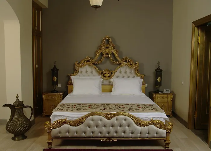 Hotel near College: Sokullu Pasa Hotel - Special Class
