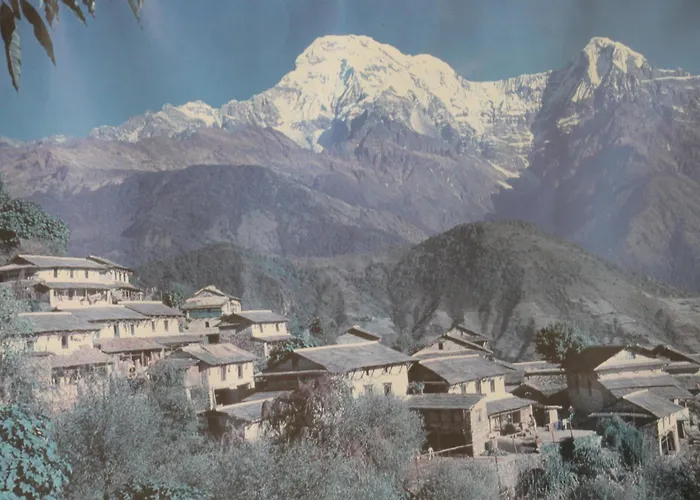 Mount Annapurna Guest House