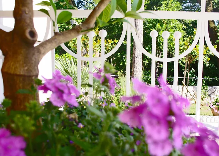 Guest House Villa Dagmar