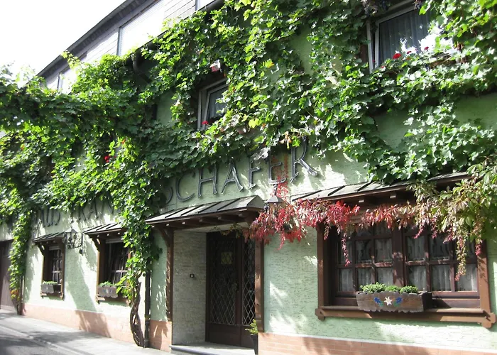 Weingut Franz Schäfer
