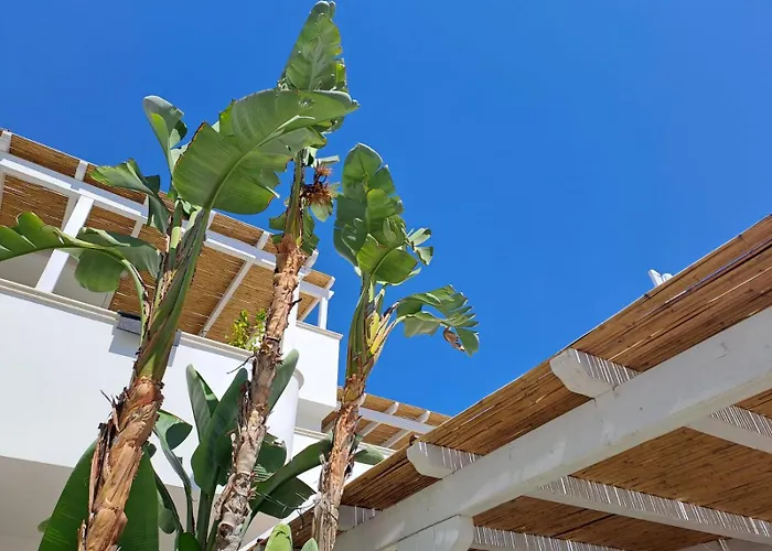 Casa Flora - Bed And Breakfast