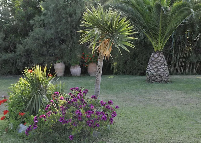 Ammos Naxos Exclusive Apartments & Studios