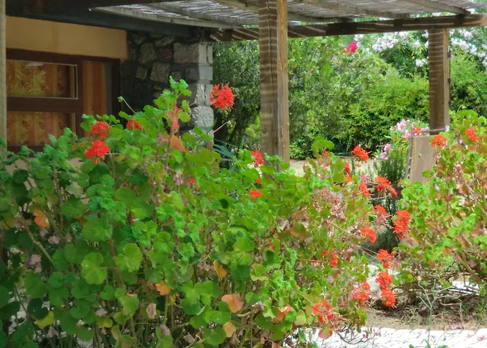 Valinco Village