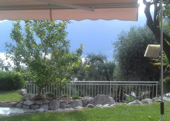 Oliveto