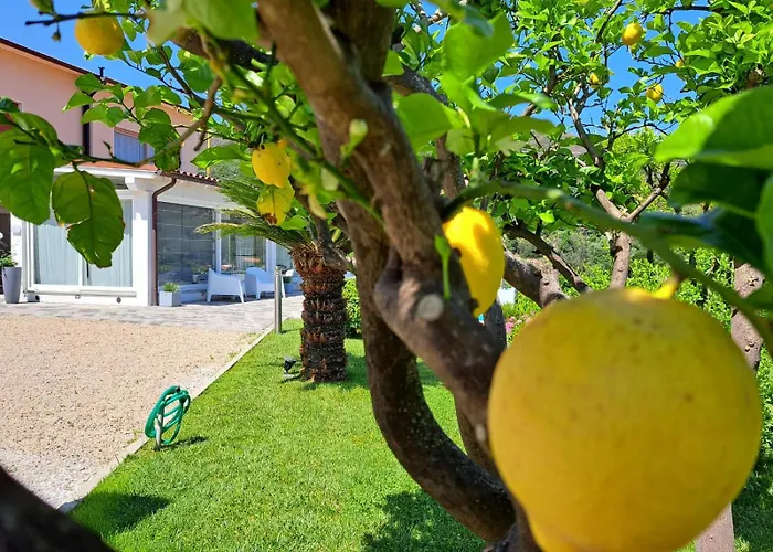 B&B Capo al Piano