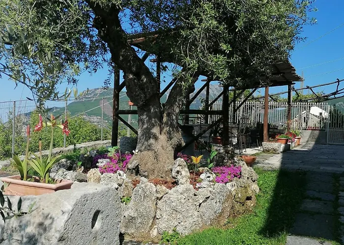 Il Casale Del Generale