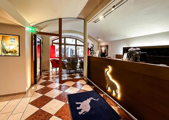 Huisdiervriendelijk hotel: Hotel Elefant