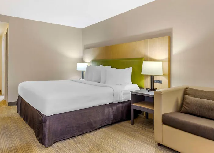 Pet Friendly hotel: Country Inn & Suites By Radisson, Newport News South, Va