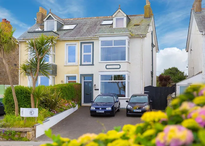 B&B only: Oystercatcher