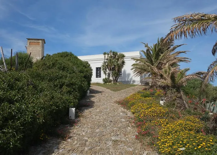 Casa de huéspedes: White House Tarifa