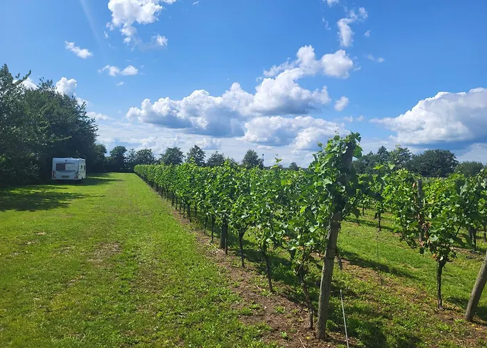 Camping Wijndomein Erve Wisselink