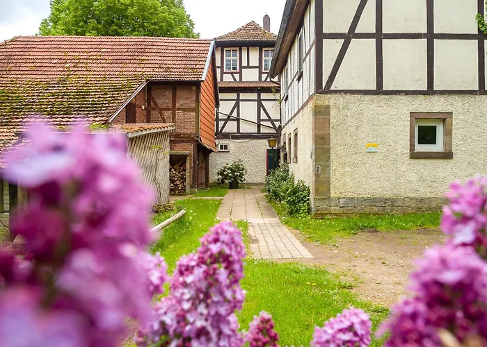Ferienvermietung: Forsthaus Halbemark