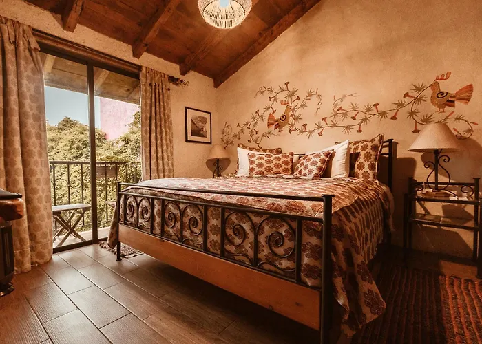 Pet Friendly hotel: Hotel Villas Casa Morada