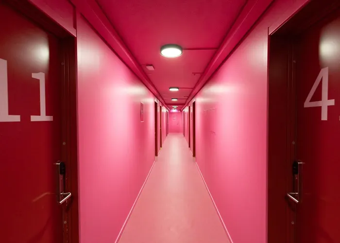 Hotel vicino al College: Anker Hostel