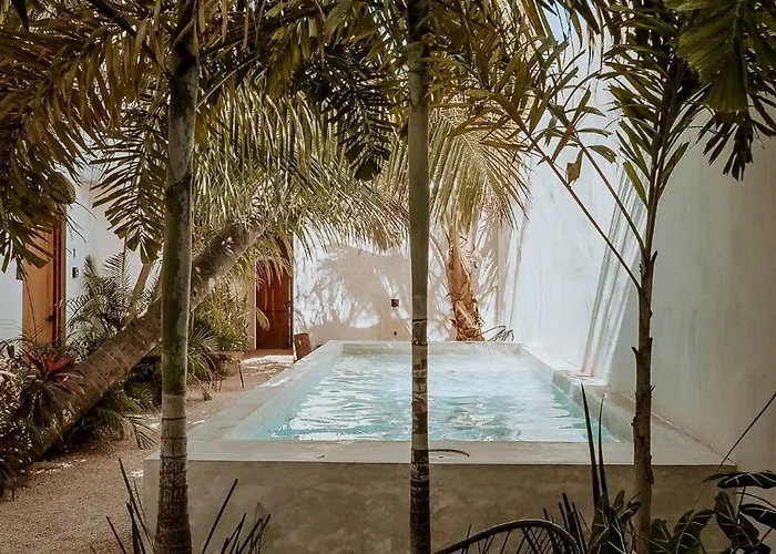 s & Suites Madre Holbox Self-Check In