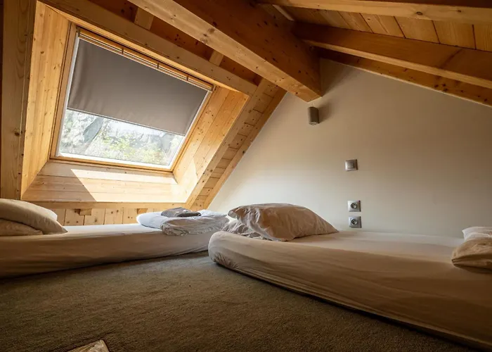 Animaux admis Vert Lodge Chamonix