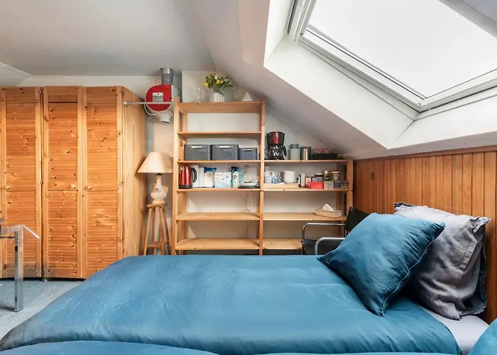 Cozy room in residential Alkmaar