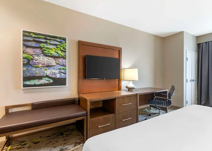 Kid friendly hotel Comfort Inn & Suites Valdosta I-75