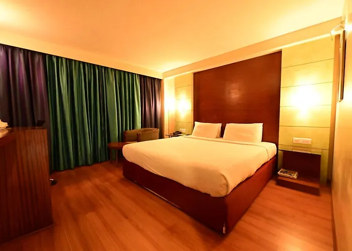 Octave The Horizon Comforts