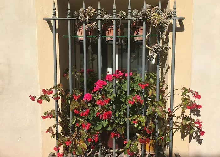 Simone'S Houses