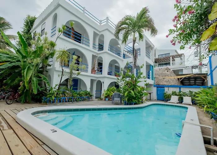Dog friendly hotels Seven Seas Resort Adults Only