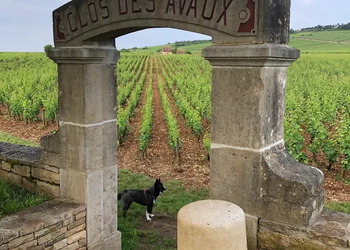 la route des vins