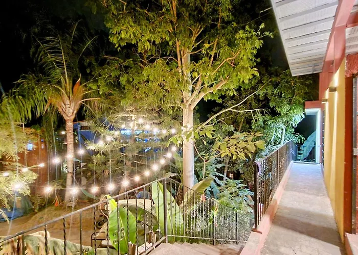 Pet Friendly hotel: Casa Rosa