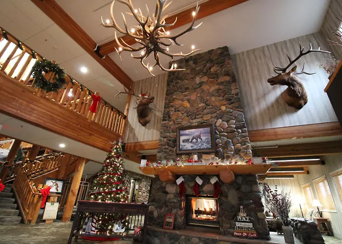 Ping Pong hotel: C'Mon Inn Missoula