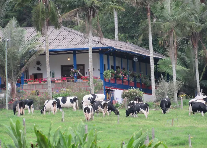 Reserva Guadalajara - Cocora Valley