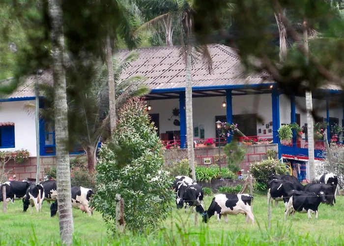 Reserva Guadalajara - Cocora Valley