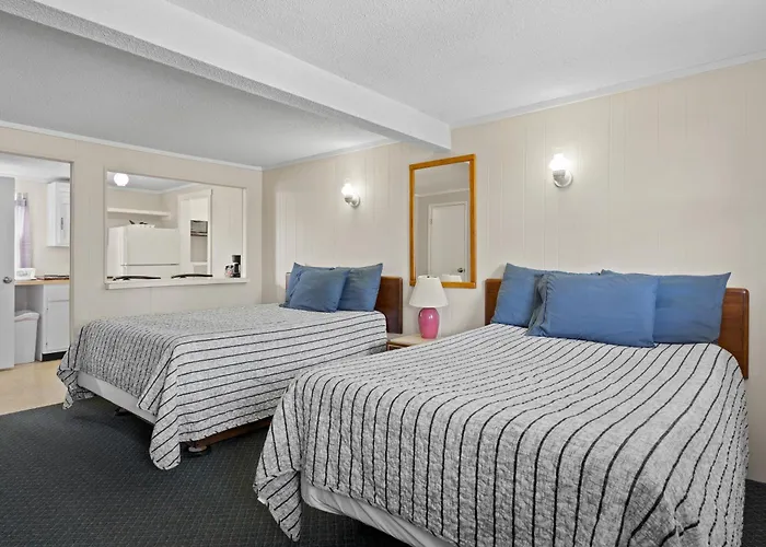 Dog friendly hotels Beach And Suites
