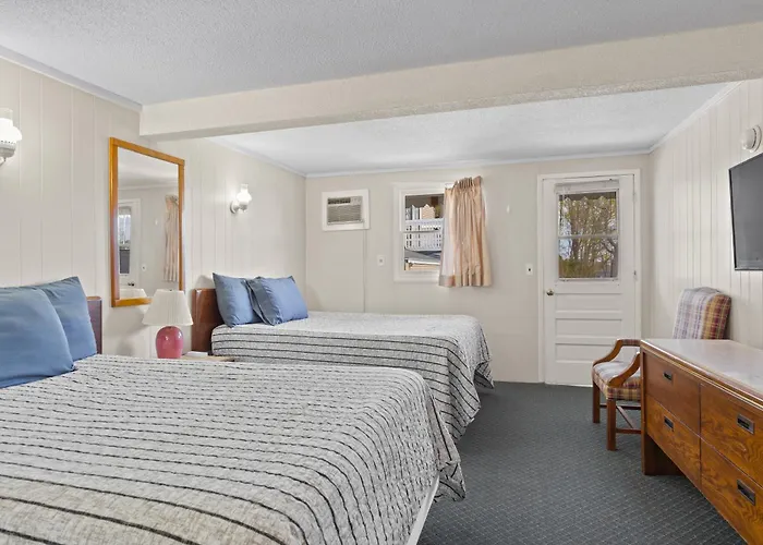 Dog friendly hotels Beach And Suites