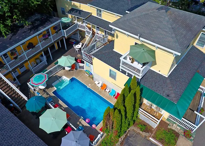 Dog friendly hotels Beach And Suites