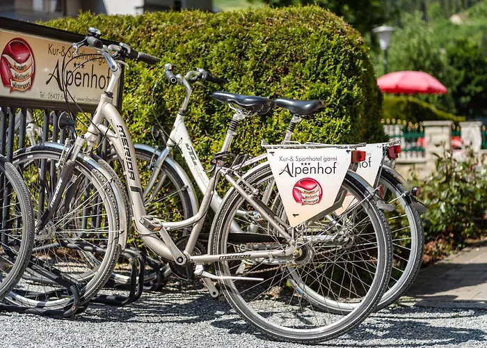 Haustierfreundliches Hotel: Hotel Alpenhof - New Sauna Area