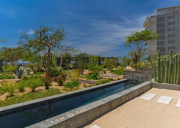 Pet Friendly hotel: Solaz, A Luxury Collection Resort, Los Cabos