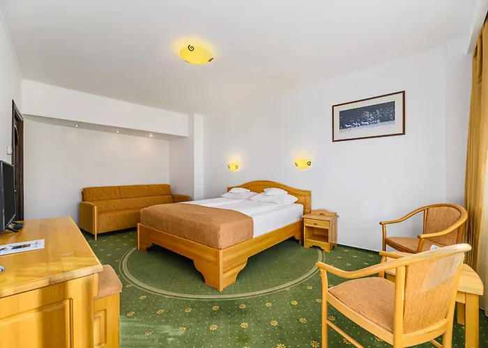 Hotel Casa Viorel jacuzzi&saunas