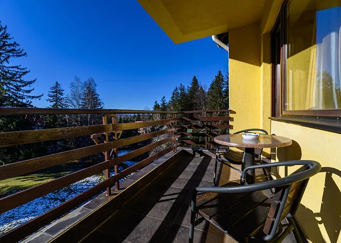 Hotel Casa Viorel jacuzzi&saunas