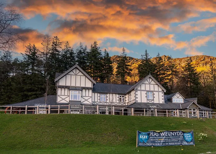 Hotel: Plas Weunydd
